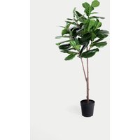 Blooming Artificial 6ft Artificial Floor Standing Fig Tree - Green, Green