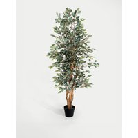 Blooming Artificial 6ft Artificial Ficus Tree in Pot - Green Mix, Green Mix