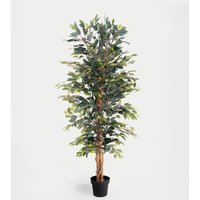 Blooming Artificial 5ft Artificial Ficus Tree in Pot - Green, Green