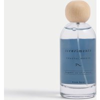 Scentiments™ Coastal Breeze Room Spray - Blue Mix, Blue Mix
