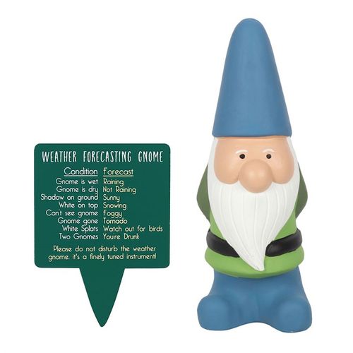 Large Weather Forecasting Gnome | Bed Sava