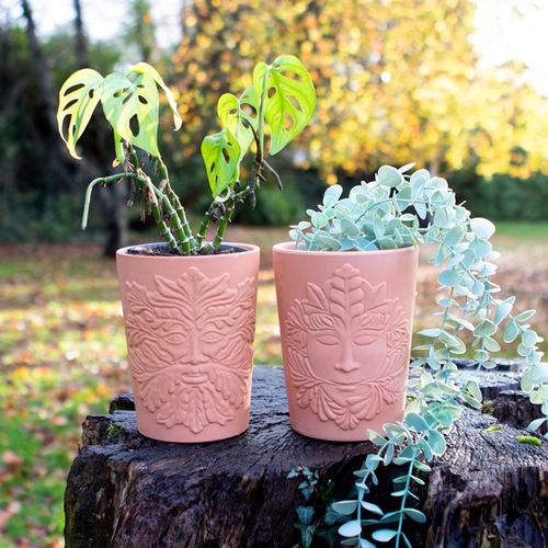 16cm Green Goddess Terracotta Plant Pot | Bed Sava