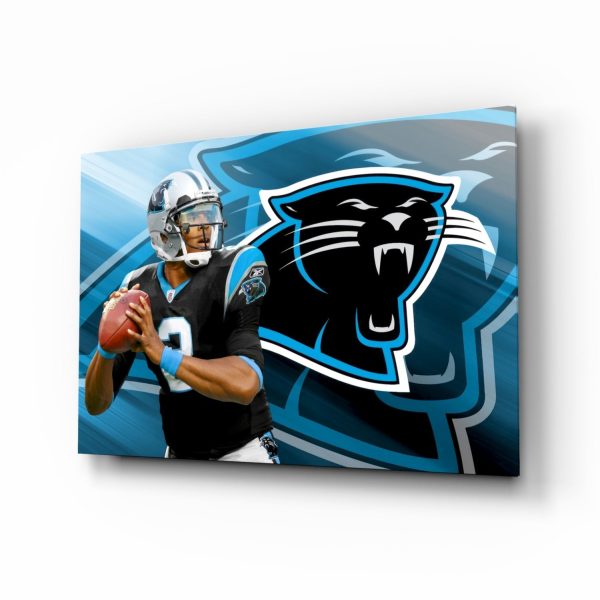 Carolina Panthers Glass Wall Art | Bed Sava