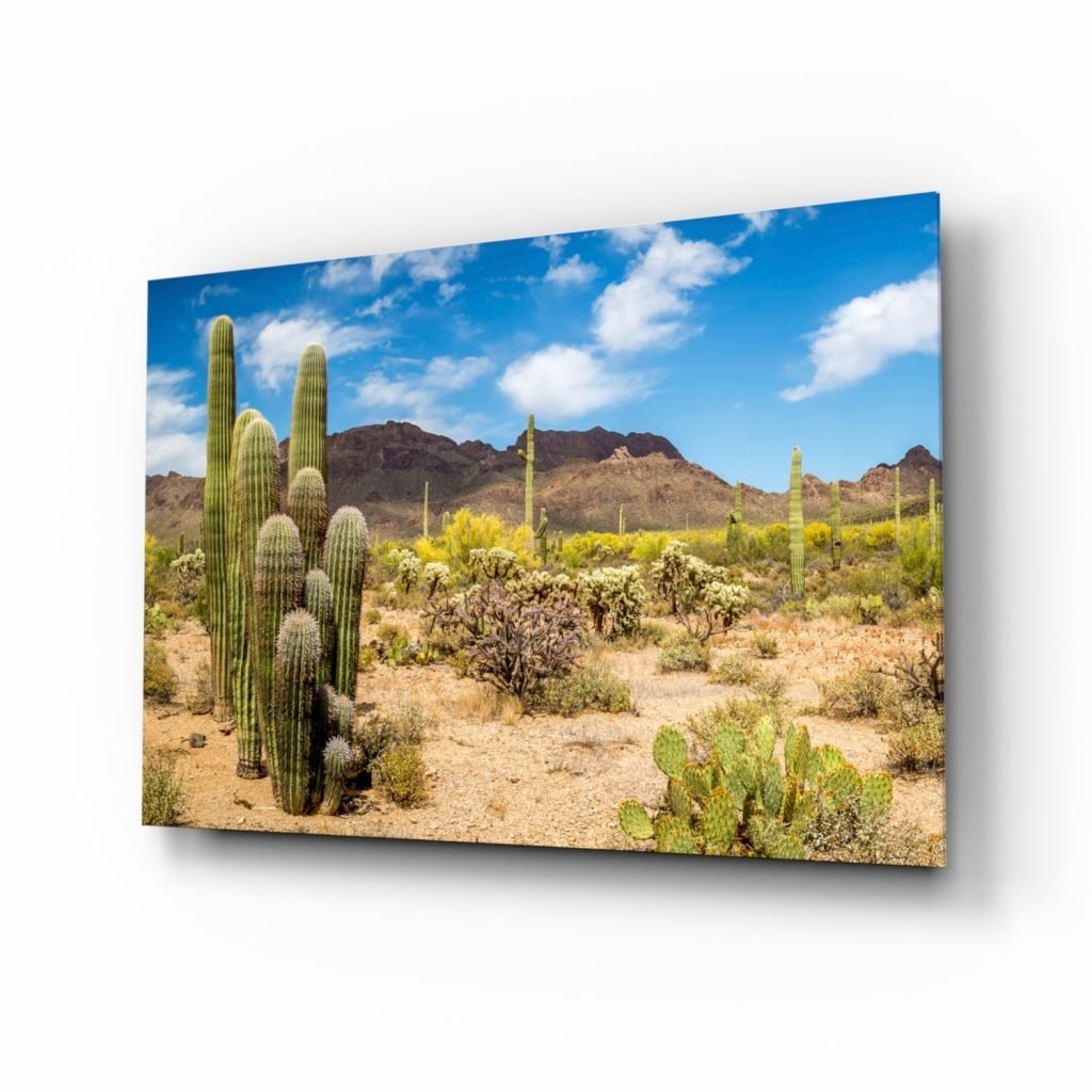 Cactuses Glass Wall Art | Bed Sava
